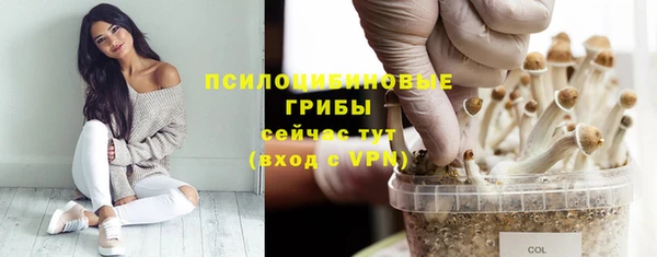 прущая мука Вязники