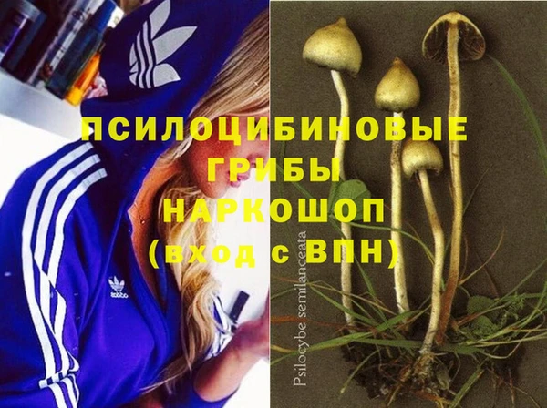 хмурый Волоколамск